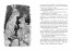 Необыкновенное спасение на Молочайном лугу Необыкновенное спасение на Молочайном лугу
